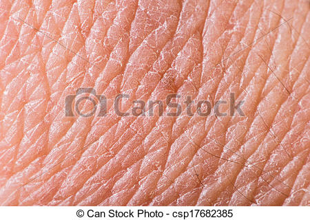 Texture of panda free. Skin clipart human skin