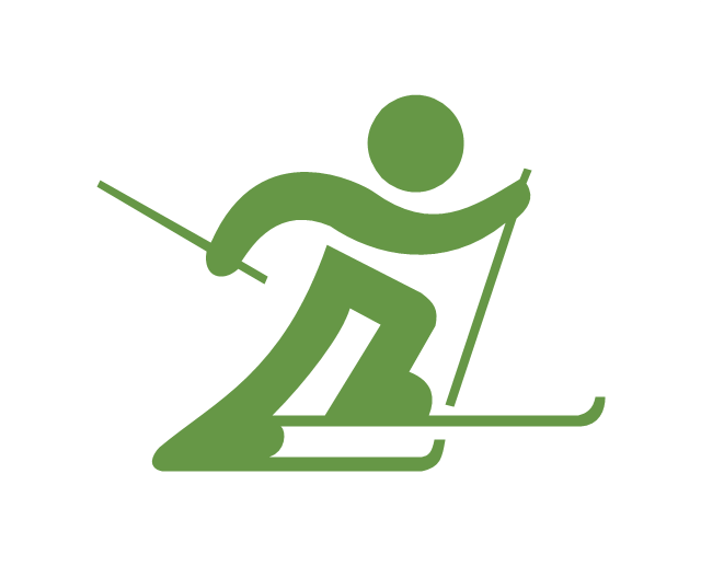 skis clipart green