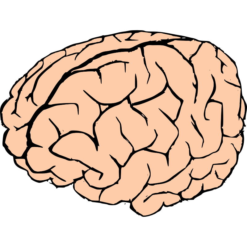 smart clipart brain