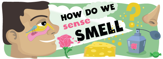 smell clipart pungent