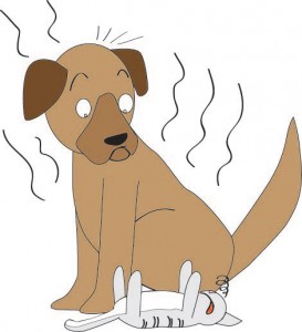 smell clipart smelly dog