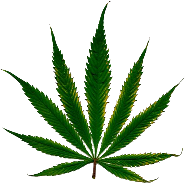 Cannabis images free download. Smoke weed png