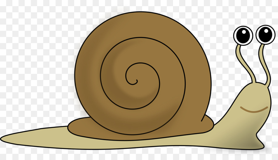 snail clipart