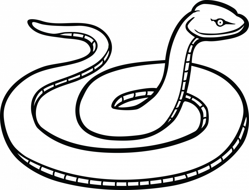 Black and white jokingart. Snake clipart basic