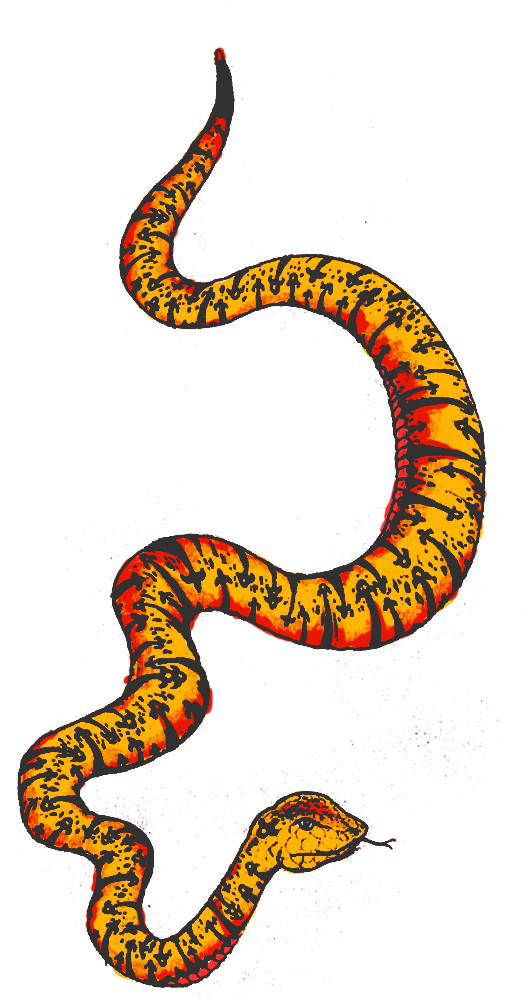 snake clipart colourful