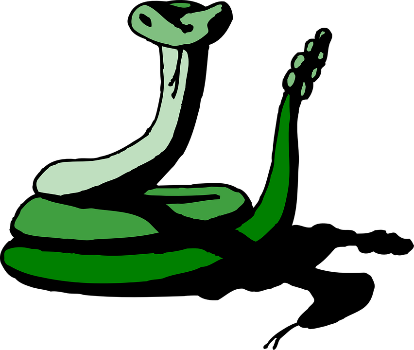 snake clipart rattlesnake