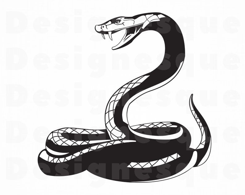 snake clipart serpent