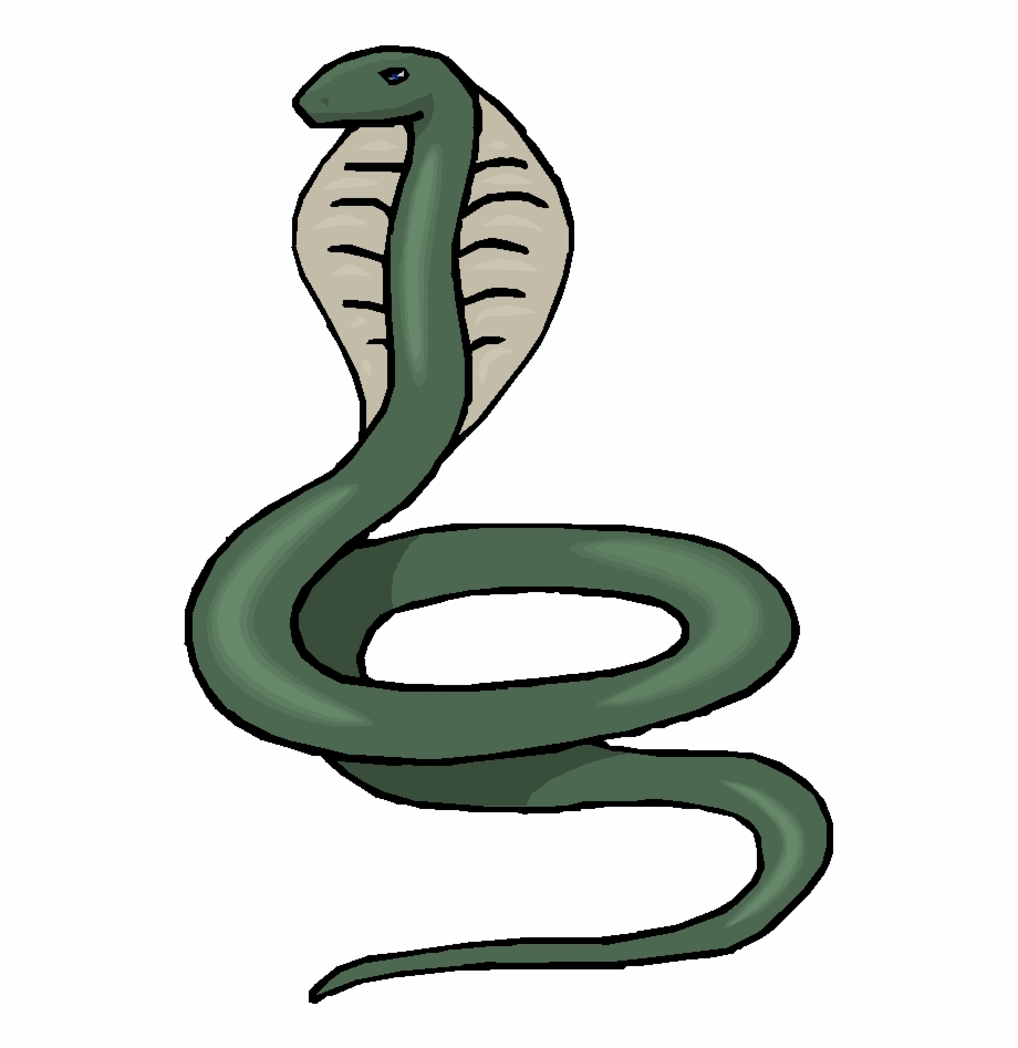 snake clipart snale