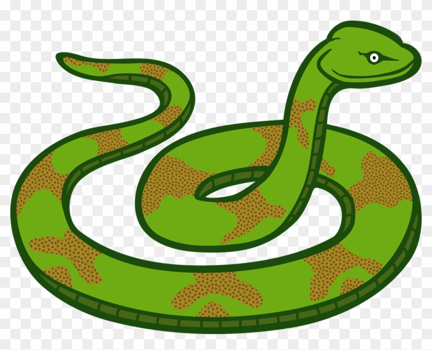 snake clipart transparent background