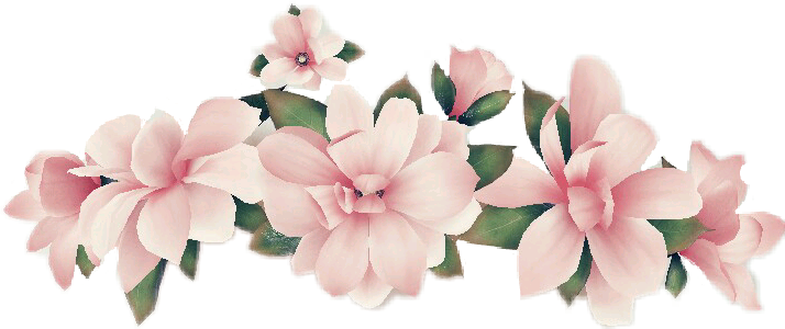Snapchat flower crown png.  for free download