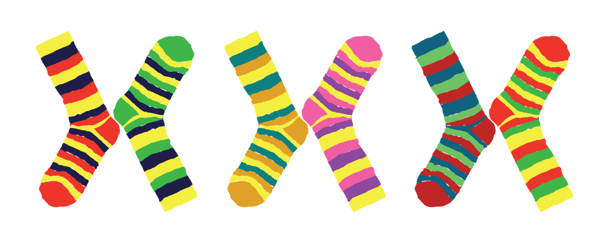 sock clipart colourful sock
