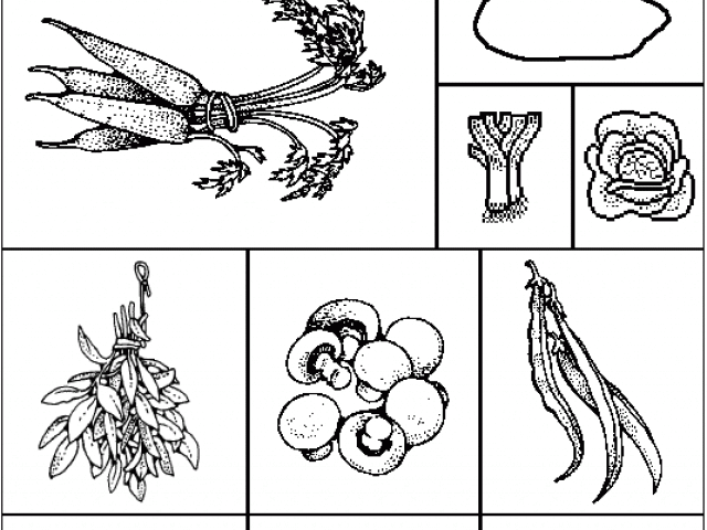 Soup clipart stone soup. Cliparts x carwad net