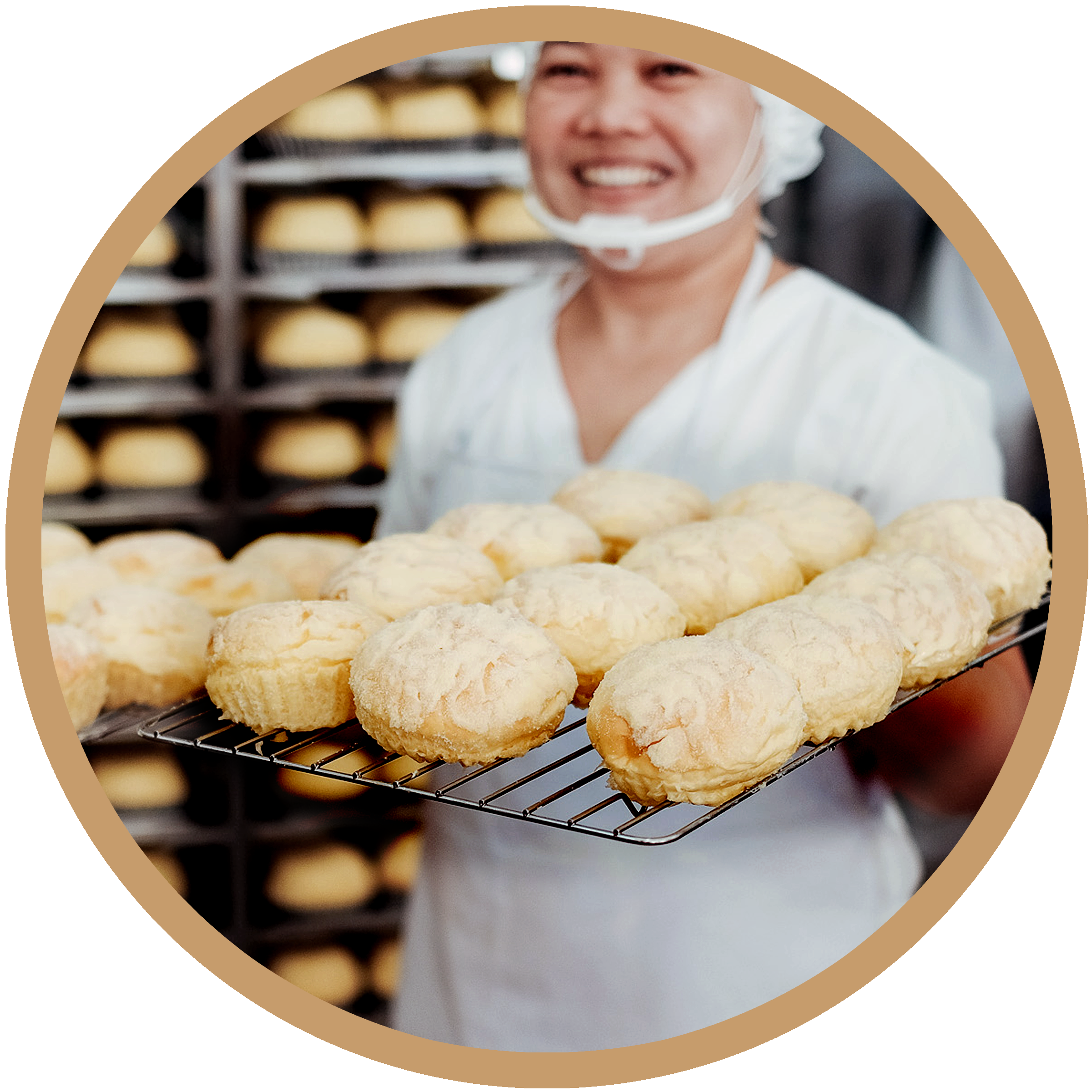 Spaghetti clipart pate. Menus mary grace cafe