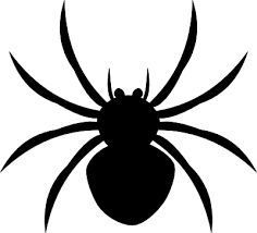 spiders clipart