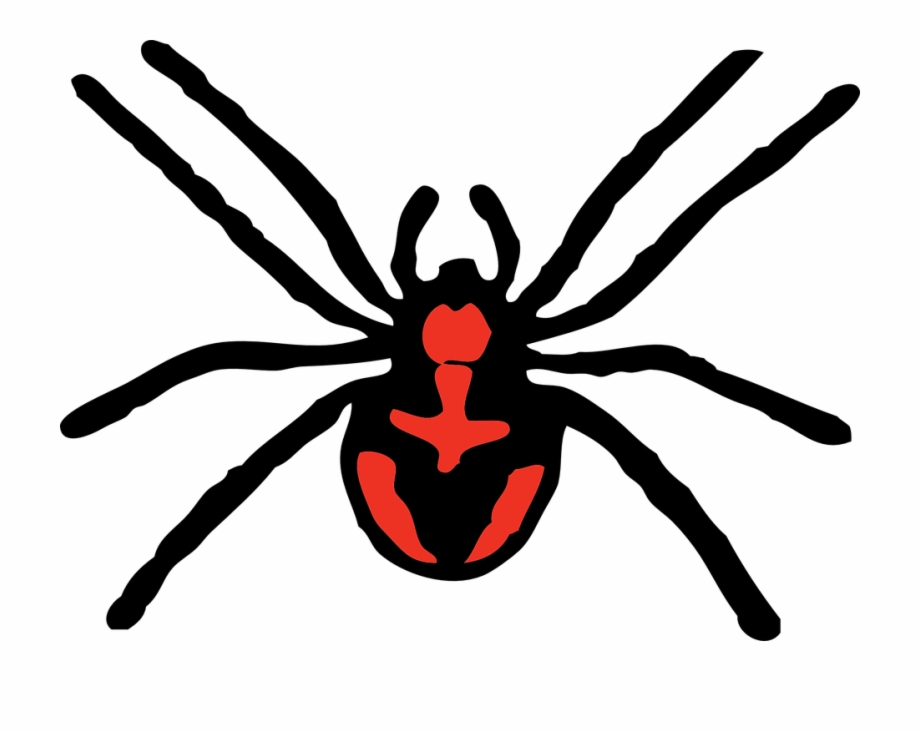 Spider clipart arachnid, Spider arachnid Transparent FREE for download