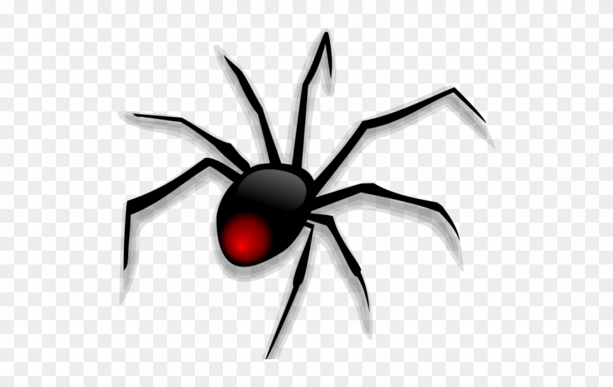 Black widow png download. Spider clipart baby spider