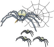 Spider clipart baby spider. Search results for clip