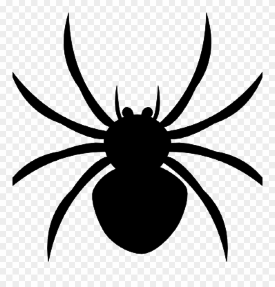 Spider clipart black and white. Arachnophobia overcoming 
