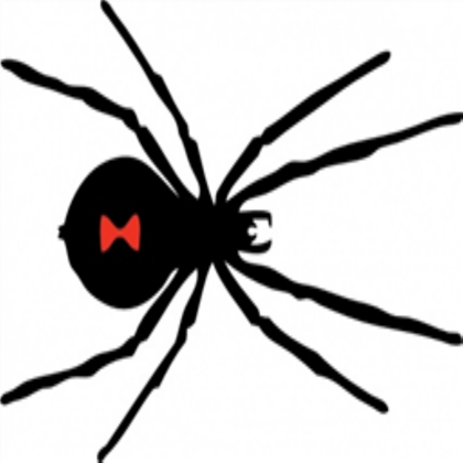 spider clipart black widow spider