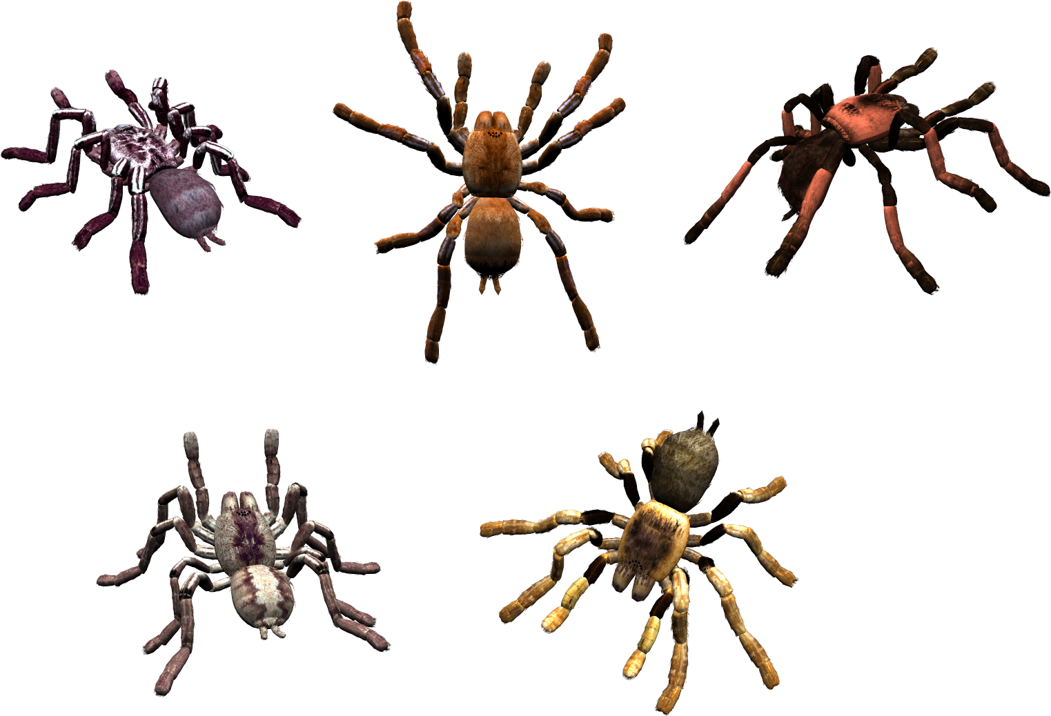 Set of colored spiders. Spider clipart colorful spider