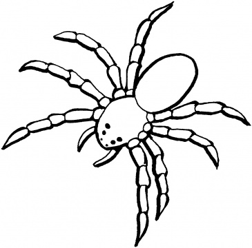 To eyes cute style. Spider clipart colour