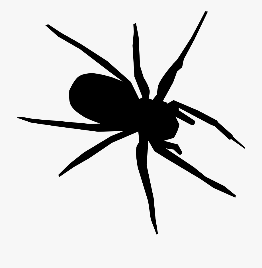 spider clipart drawn