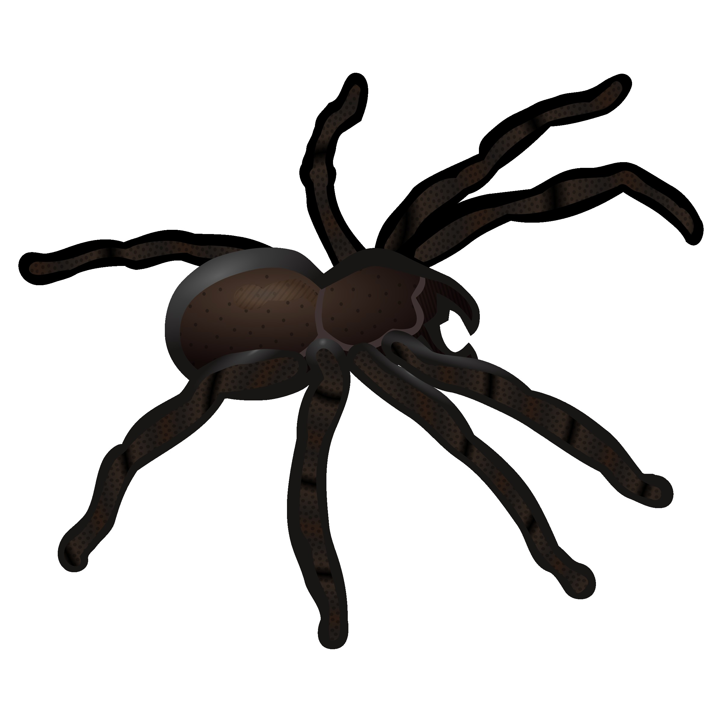 spider clipart fall