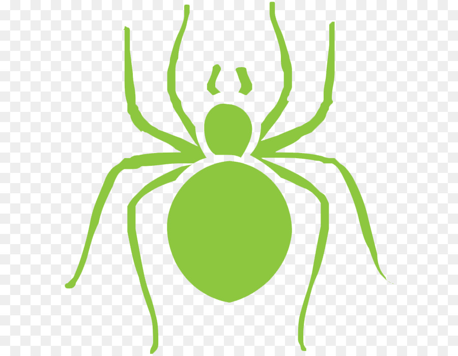 spider clipart green spider