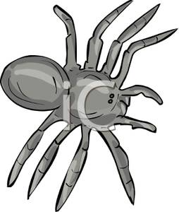 spider clipart grey spider