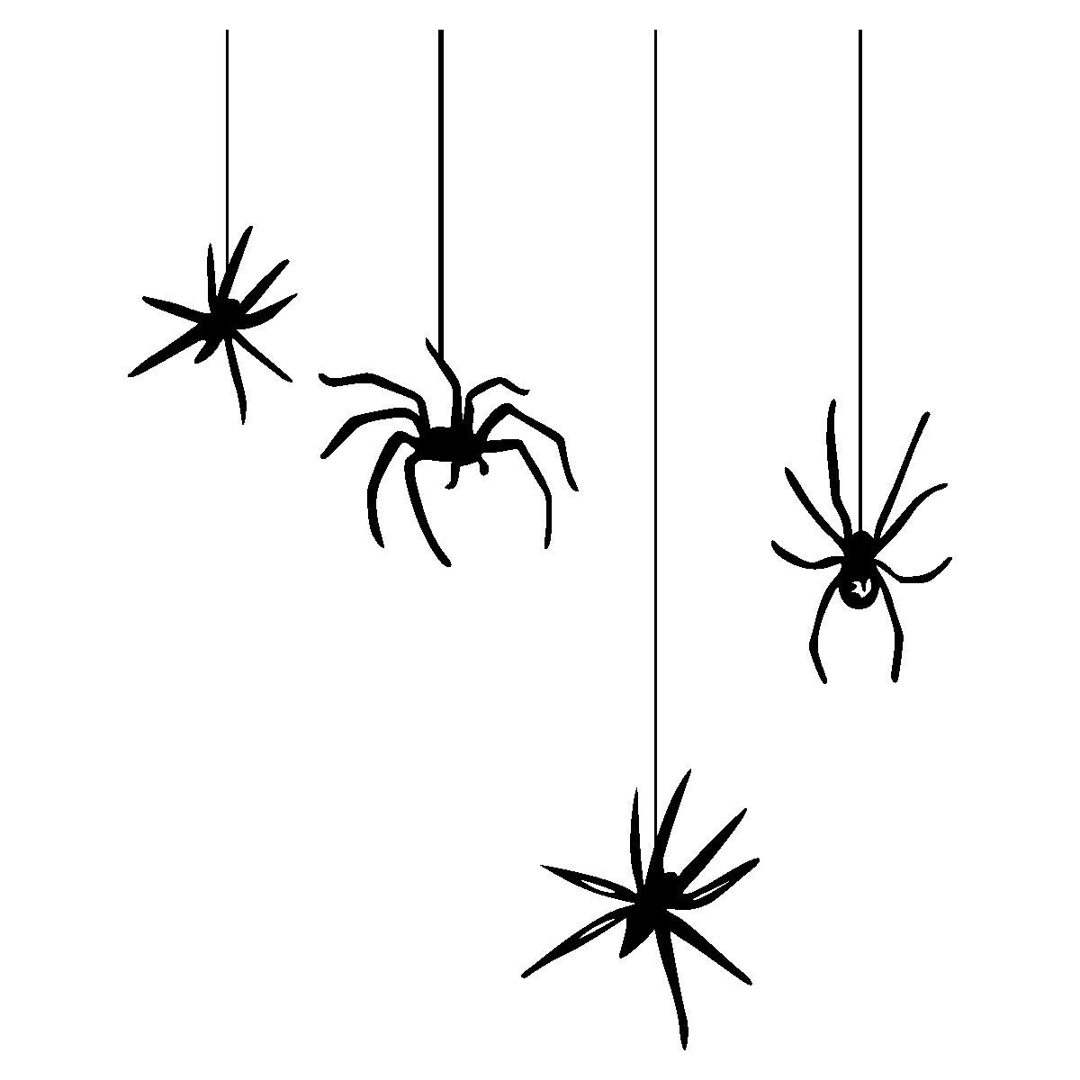 Spider hang