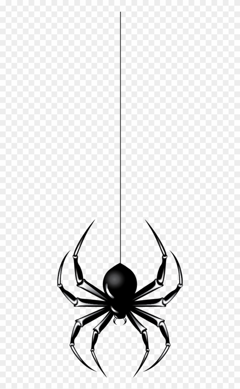 spider clipart hang