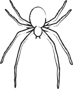 Spider clipart illustration. Of a outline halloween