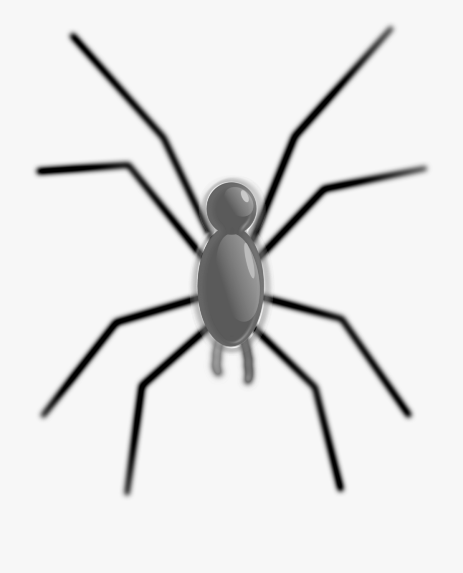 Spider clipart invertebrate animal. Public domain animals with