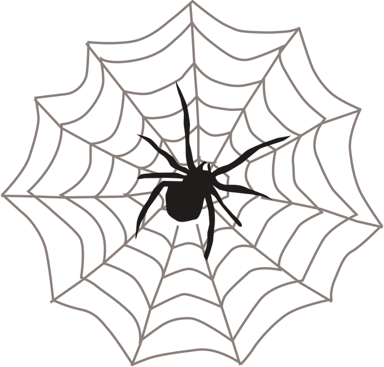 Spider clipart realistic. Corner web free download