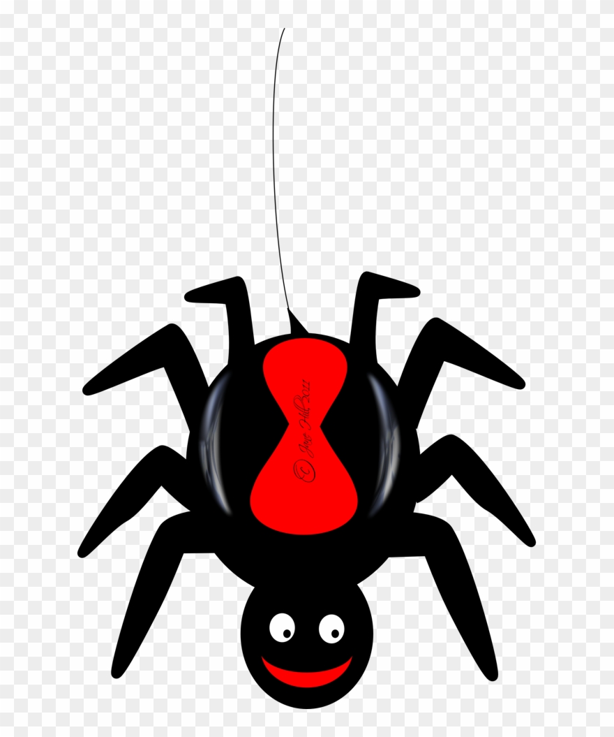 spider clipart redback spider