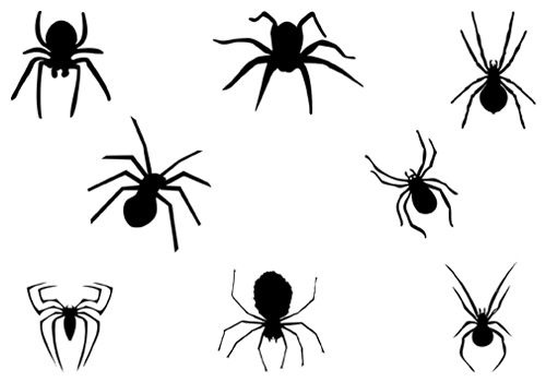 spider clipart silhouette