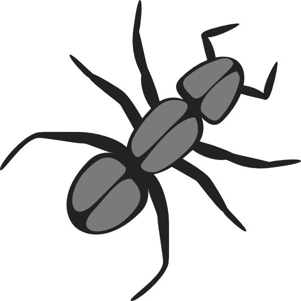 Spider clipart small animal. Ant clip art at
