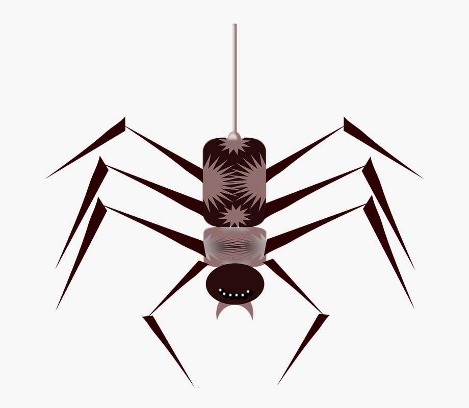 Arachnid cartoon gif png. Spider clipart small animal