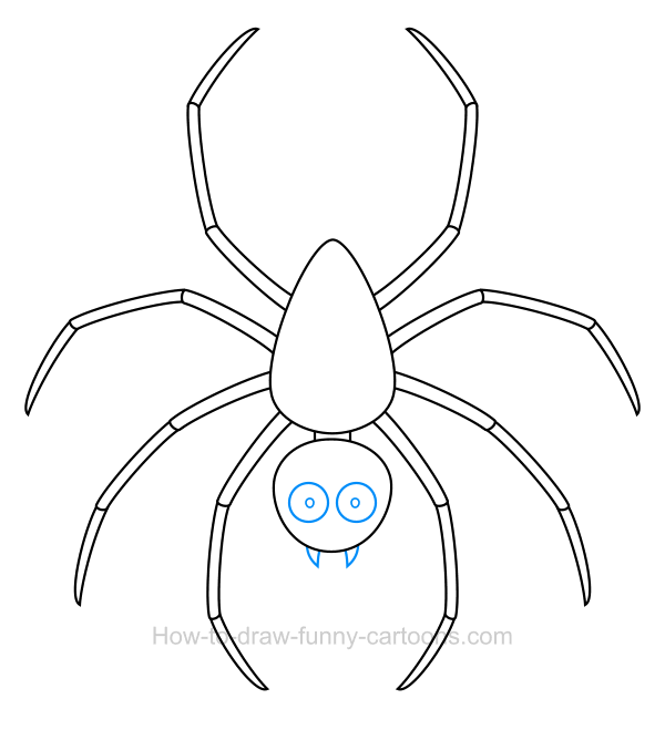 Spider clipart small animal. How to draw a