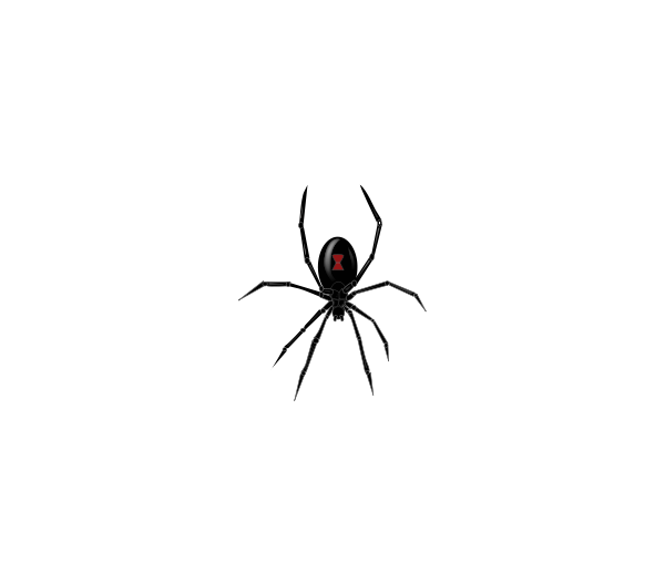 Free transparent cliparts download. Spider clipart small spider