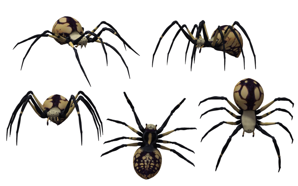 spider clipart spider fang