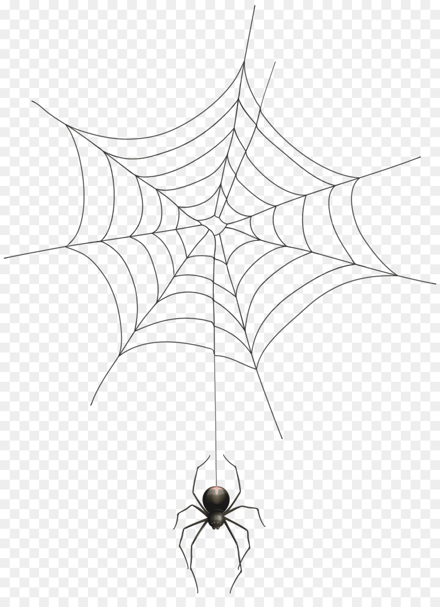 spider clipart spider line