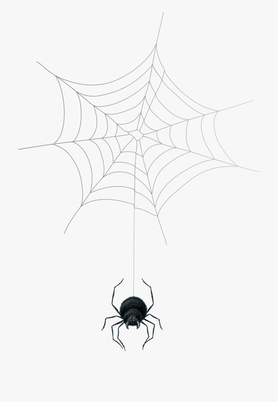 Spider clipart spider silk. Web png clip art