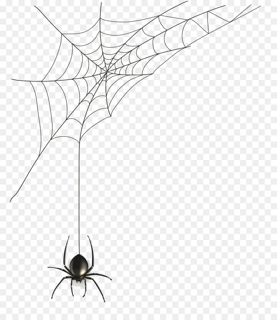 Web png download free. Spider clipart spider silk