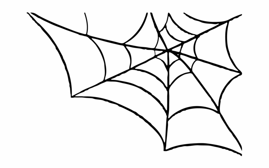 spiderweb clipart spider silk