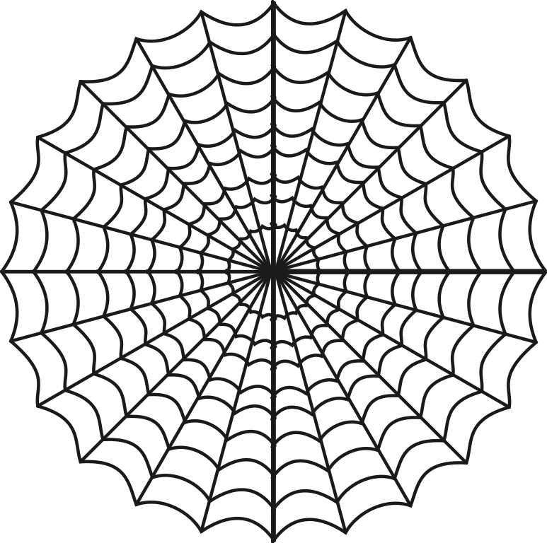 Spider spider webb
