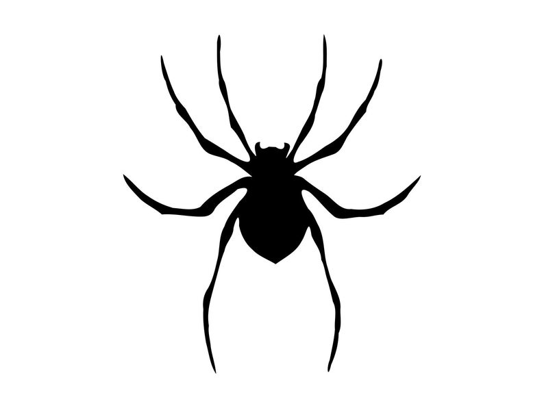Spider clipart spooky spider, Spider spooky spider Transparent FREE for