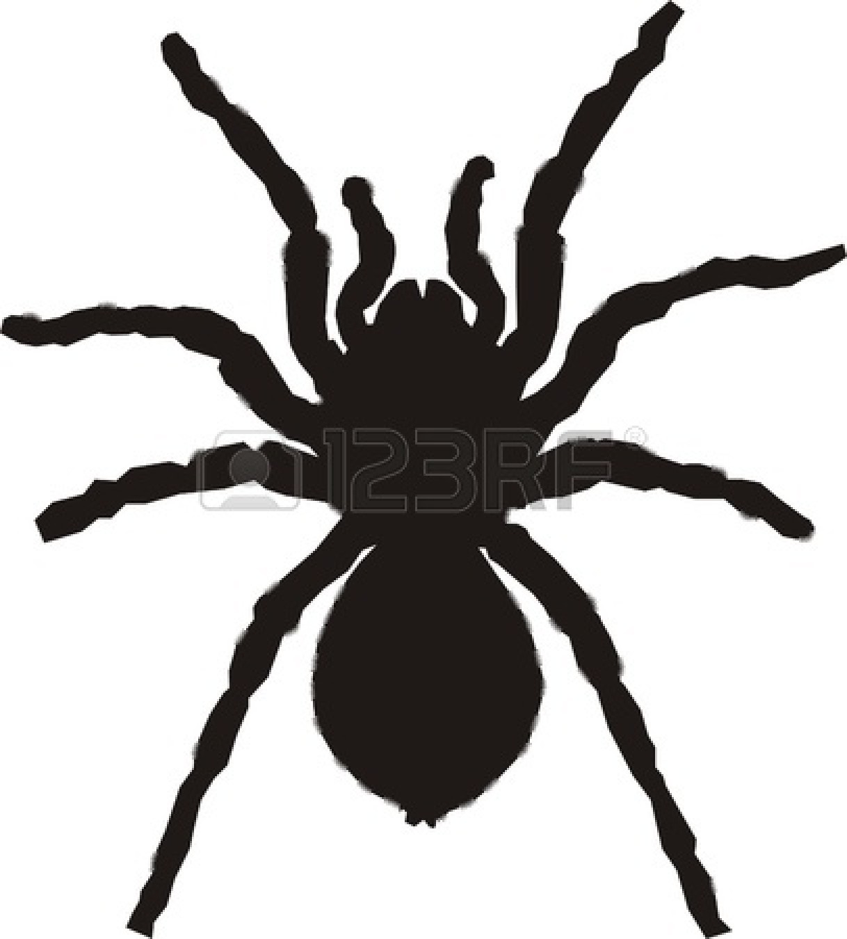 Silhouette viewing panda free. Spider clipart themed