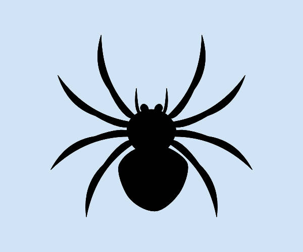 Spider clipart themed.  cliparts free vector