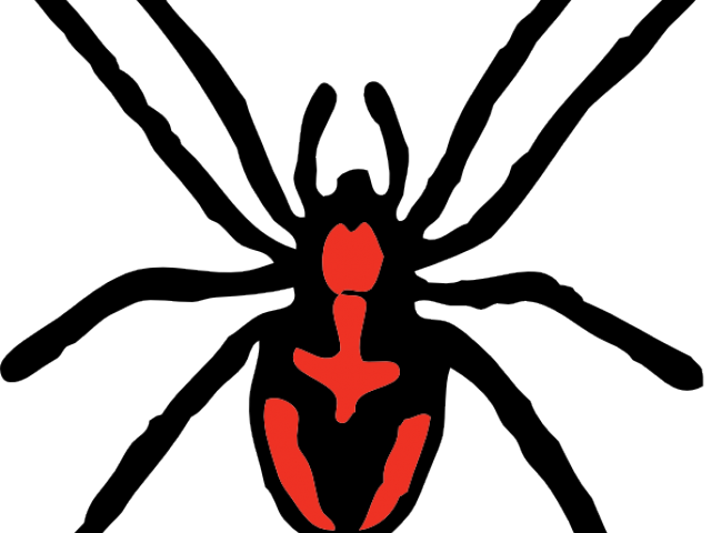 spider clipart tiny spider
